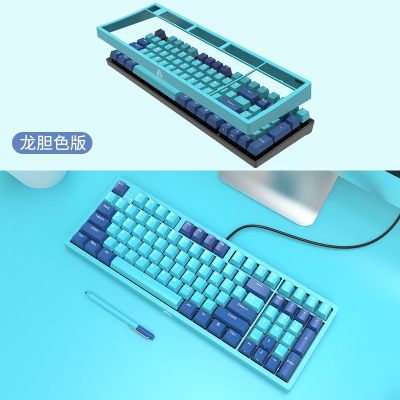 B16彩色面盖