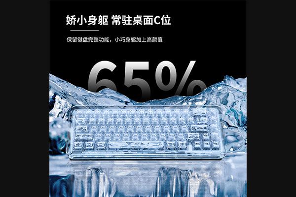 B67 透明标准版
