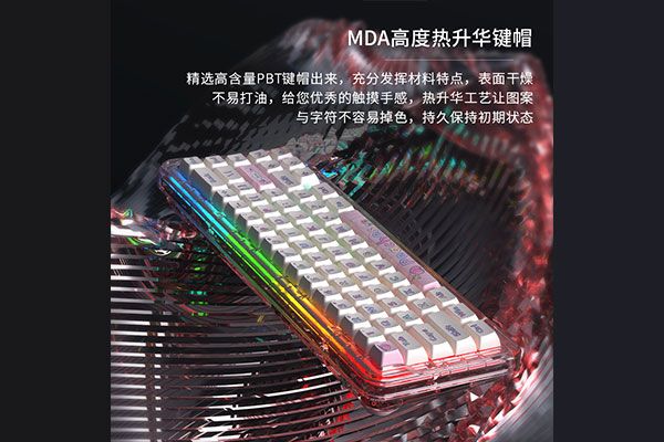 B67  透明标准版
