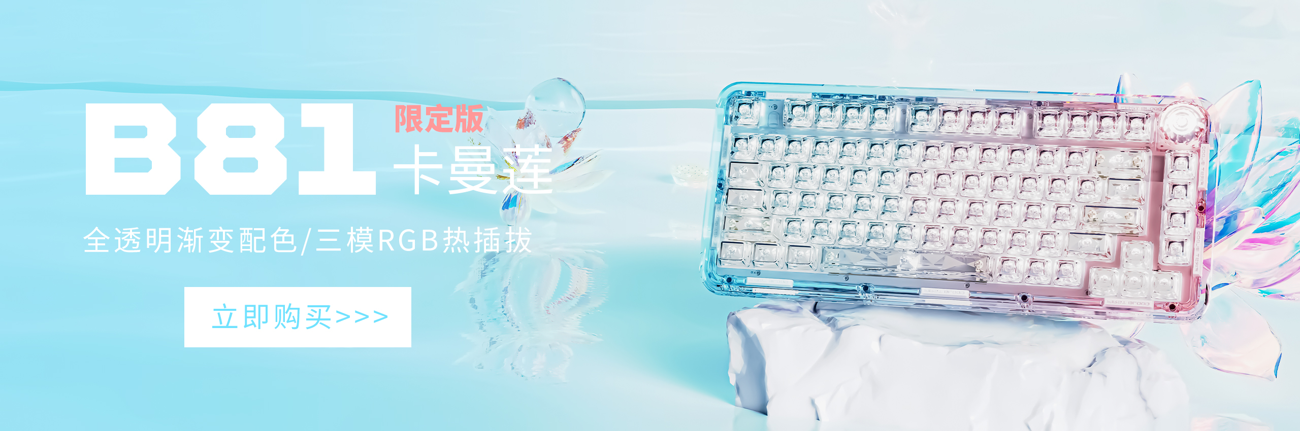 B81卡曼莲